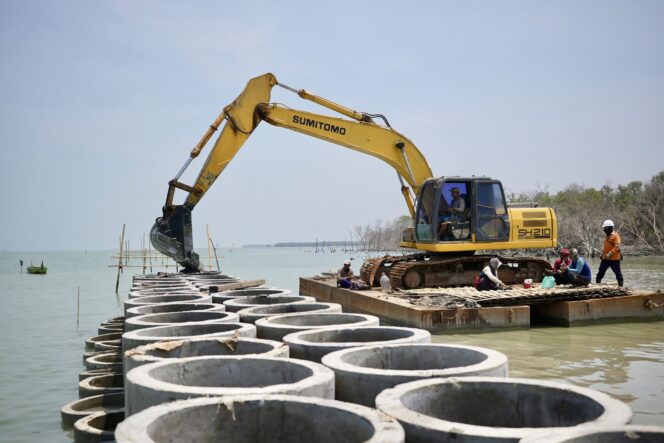 
					Jateng Bangun Hybrid Sea Wall di Demak, Mangrove Disiapkan Jadi Benteng Alami Pesisir